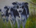 /album/galerie-de-photos-ami-animaux/les-brigitte-jpg/